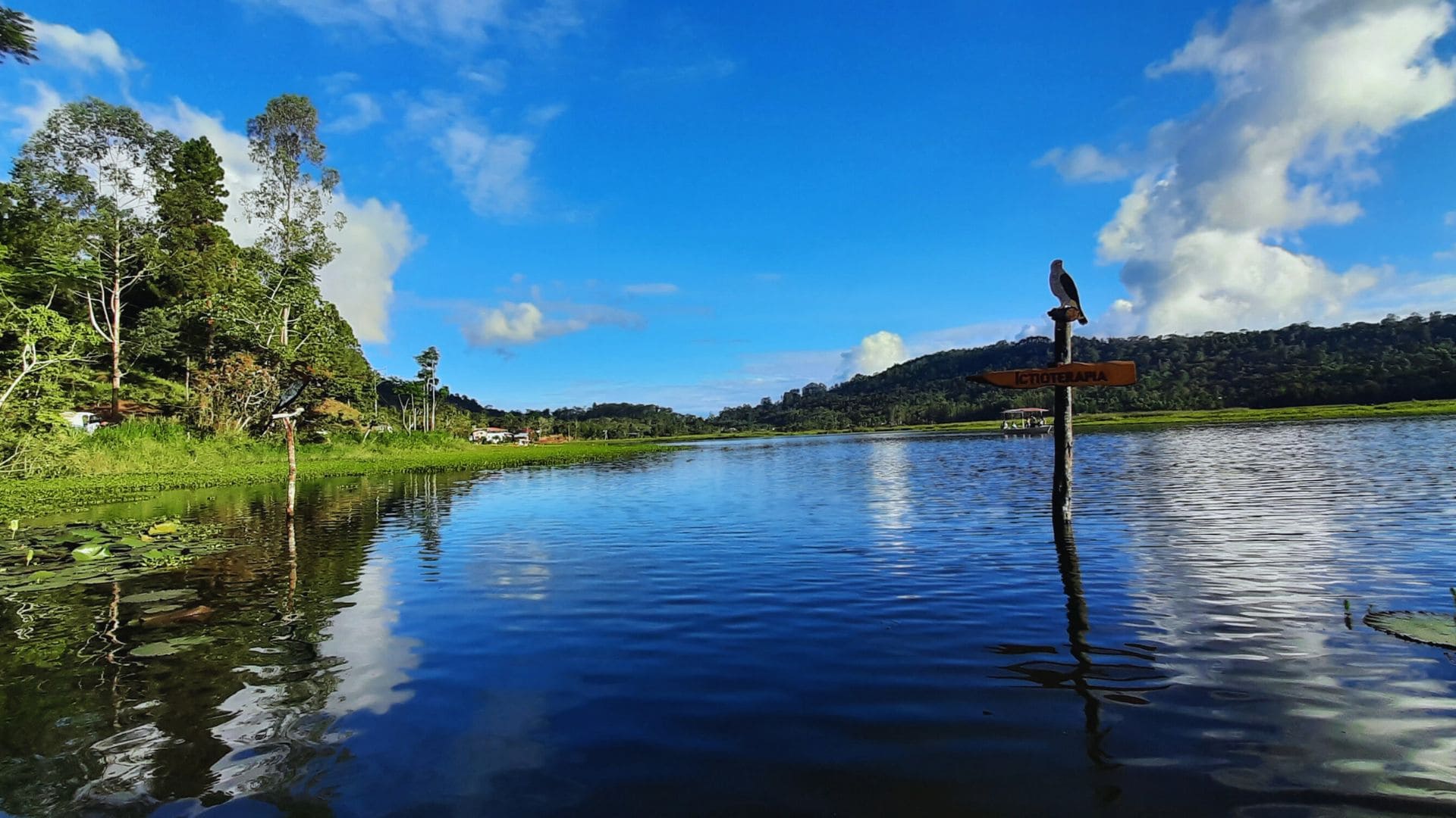 Selva Central