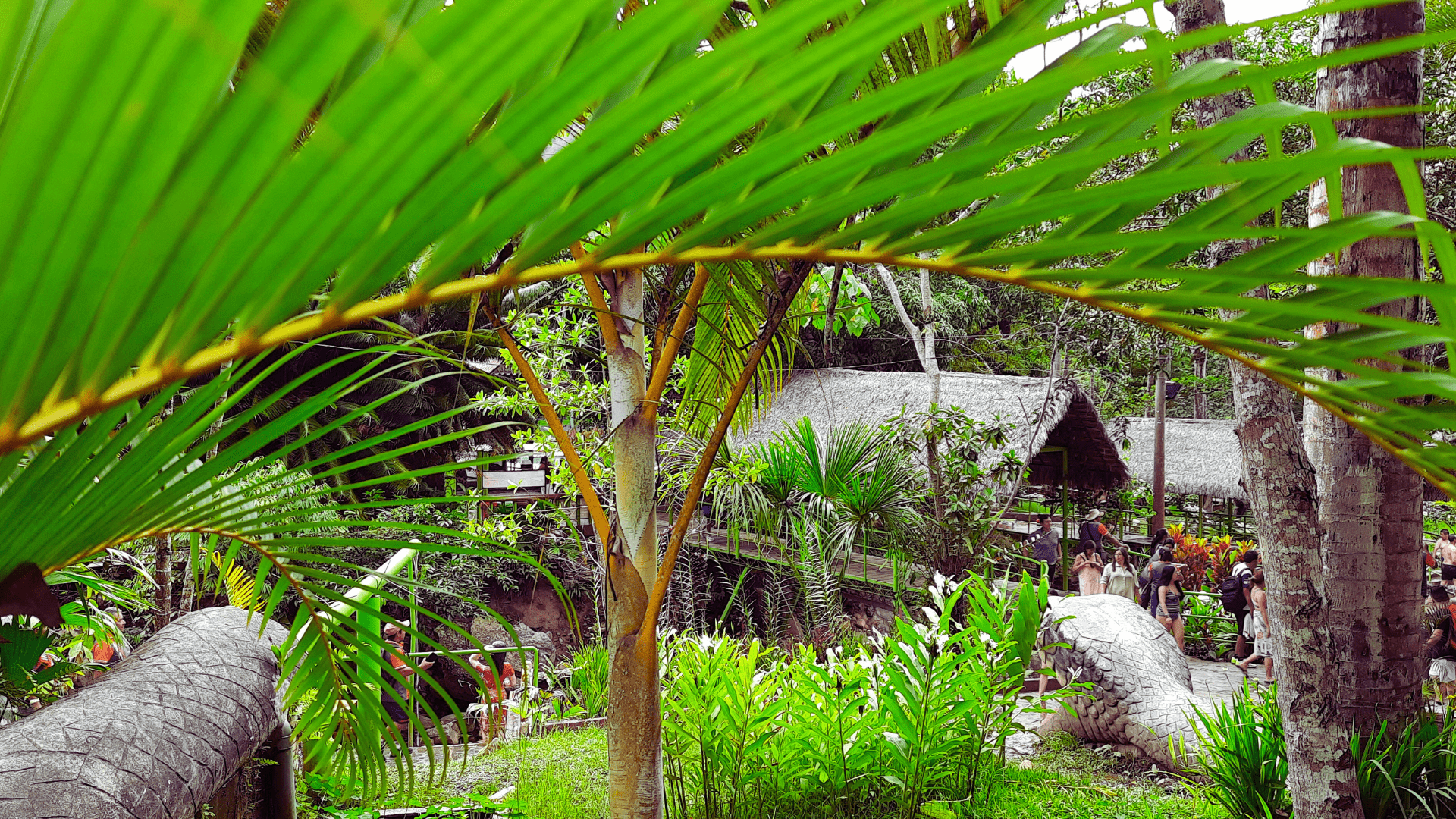 Tarapoto